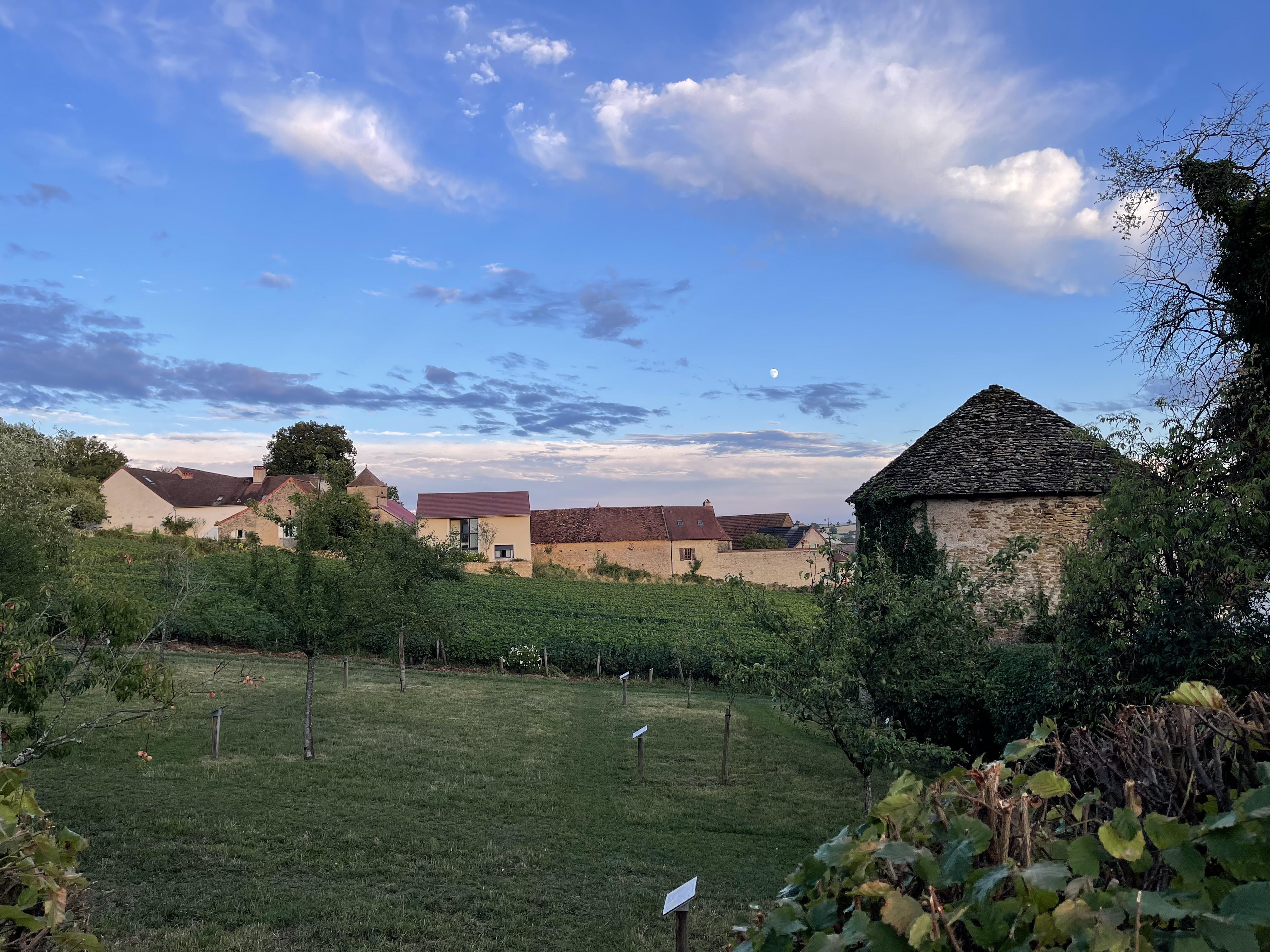 Photo n° 9 de l'avis de Clotilde.o fait le 29/07/2023 à 20:28