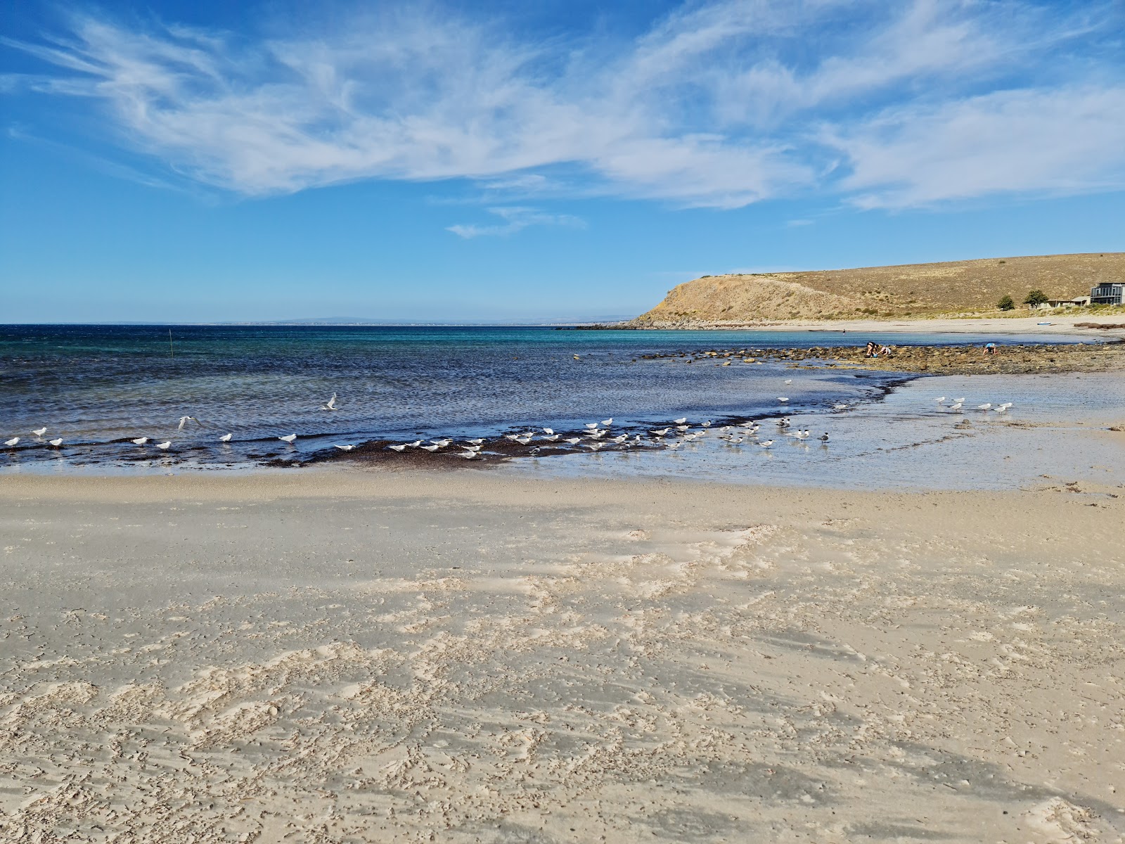 Photo of Myponga Beach with very clean level of cleanliness