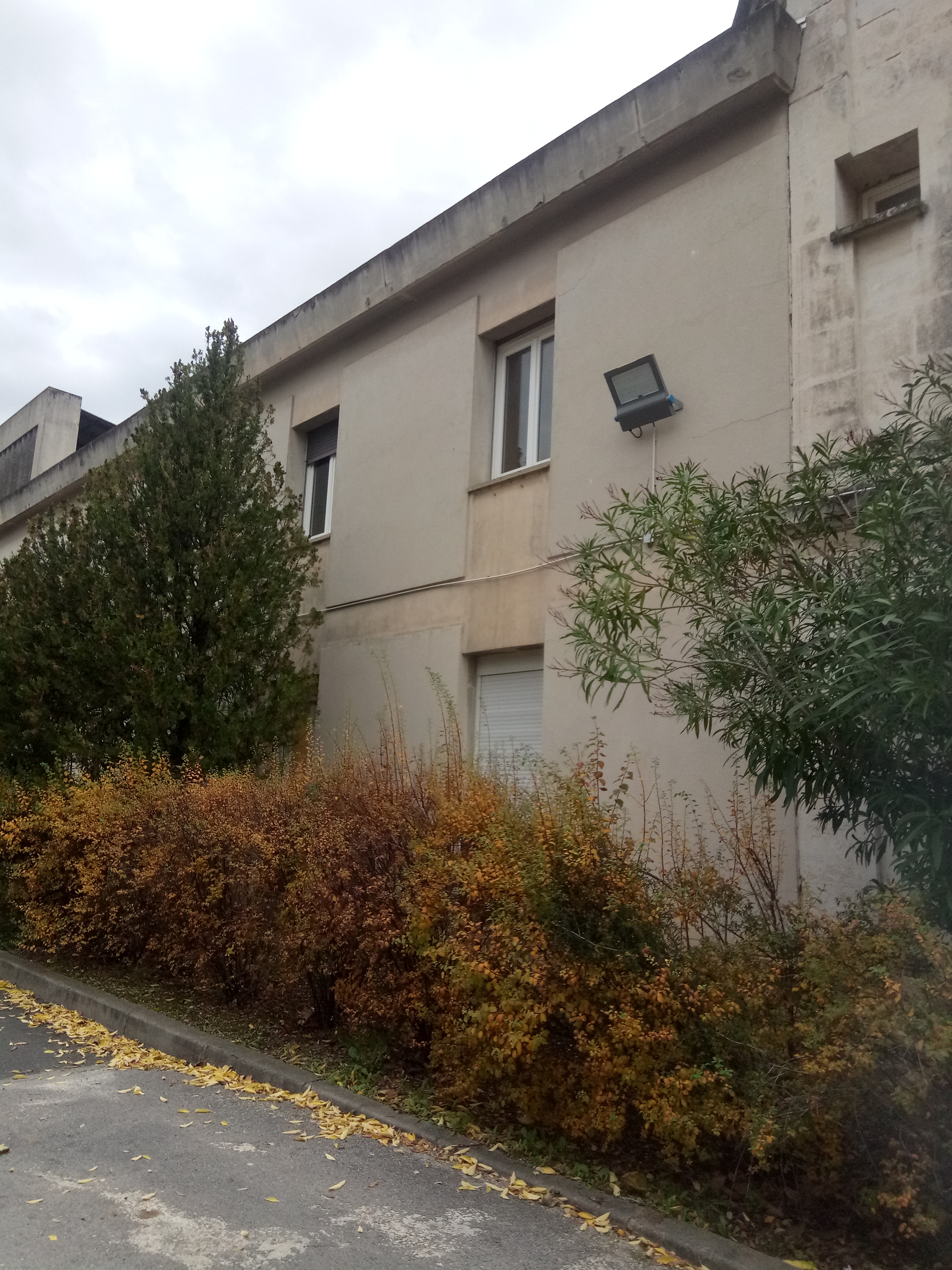 Photo n° 11 de l'avis de Estranged.l fait le 27/11/2019 à 20:09