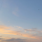 Photo n°4 de l'avis de Catarina.e fait le 21/07/2023 à 11:17 sur le  Monte das Aranhas à Vimieiro