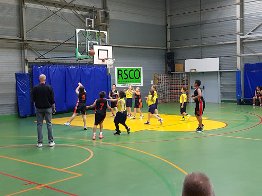 Schelle Basketball Club vzw