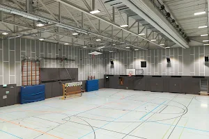 Sporthalle GV - SV 08/29 Friedrichsfeld Handball image