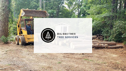 Big Brothers Tree Services