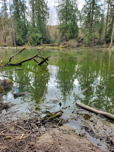 Park «Foege Park», reviews and photos, 125 NW Cedar Hills Blvd, Portland, OR 97229, USA