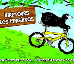 Pura bici tours photo