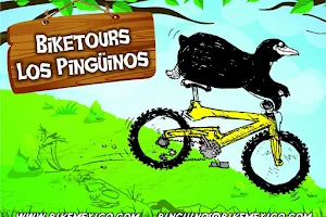 Bike Tours "Pingüinos" image
