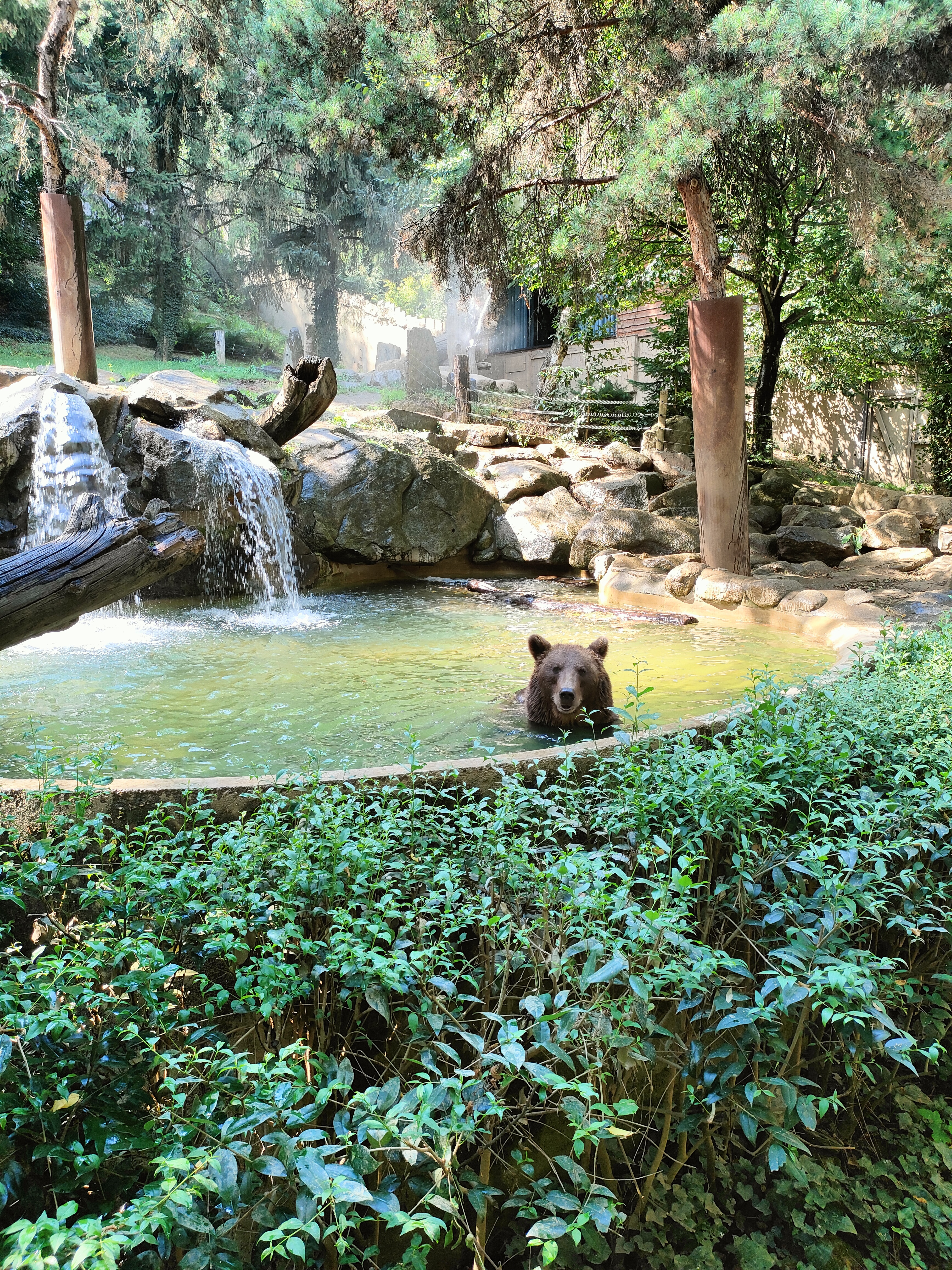Photo n° 1 de l'avis de Loic.� fait le 11/08/2022 à 17:04