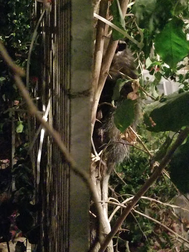 Museum «Heritage Museum of Orange County», reviews and photos, 3101 W Harvard St, Santa Ana, CA 92704, USA