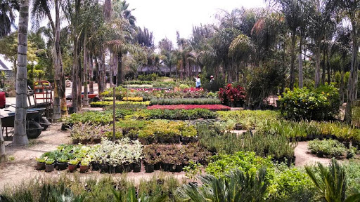 Gardening centre Guadalajara