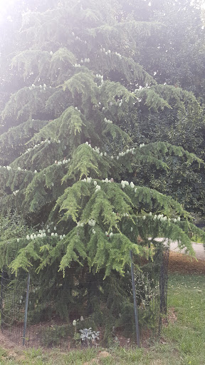 Park «Carl Schurz Park», reviews and photos, East 86th Street & East End Ave, New York, NY 10028, USA