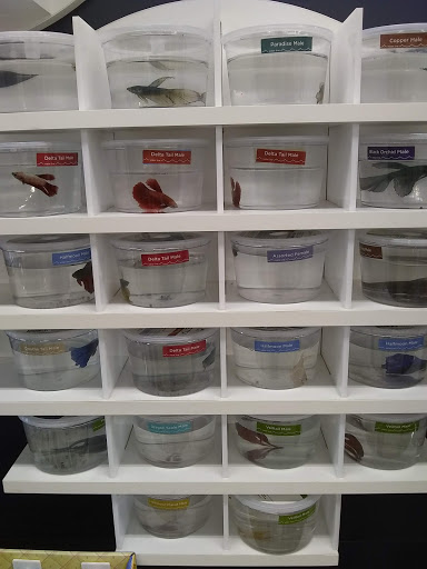 Pet Supply Store «Petco Animal Supplies», reviews and photos, 3454 Palmer Dr #7a, Cameron Park, CA 95682, USA