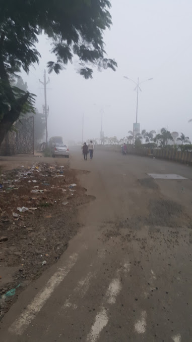 Google Maps image 17