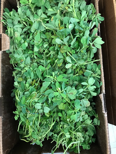 Indian Grocery Store «India Market & Eyebrow Threading», reviews and photos, 1265 Pleasant Grove Blvd #100, Roseville, CA 95747, USA