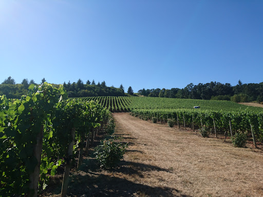 Vineyard «Cristom Vineyards», reviews and photos, 6905 Spring Valley Rd NW, Salem, OR 97304, USA