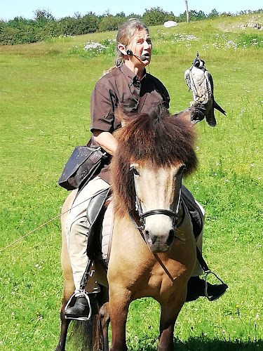 http://www.falkonergaarden.dk/