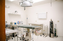 Solano-Napa Pet ER Clinic - Photo 2 - Car repair in Fairfield, CA, Vallejo