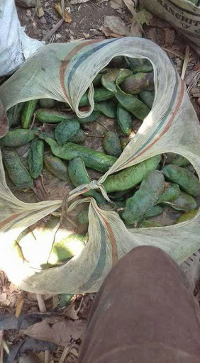 Agricultural Service «Farm Supply Company», reviews and photos, 224 Tank Farm Rd, San Luis Obispo, CA 93401, USA