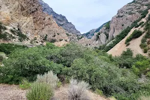 Little Rock Canyon Trail image