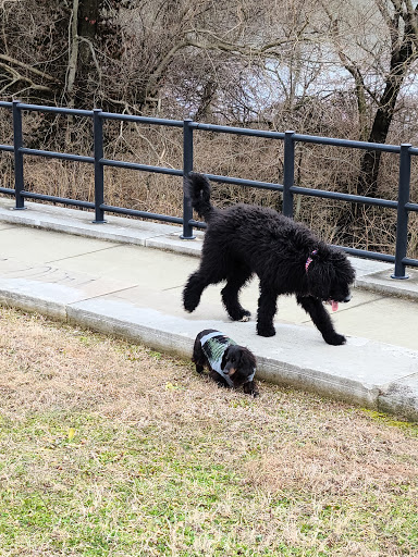 Tourist Attraction «Loop Island Wetlands», reviews and photos, 2200 E Main St, New Albany, IN 47150, USA