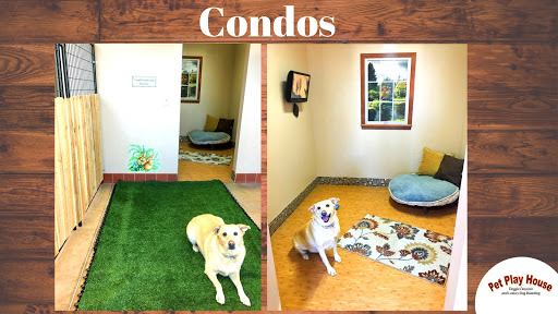 Pet Store «Pet Play House», reviews and photos, 2403 E 4th St, Reno, NV 89512, USA