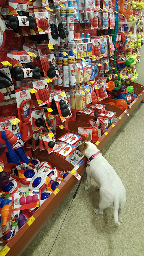 Pet Supply Store «PetSmart», reviews and photos, 47142 Michigan Ave, Canton, MI 48188, USA