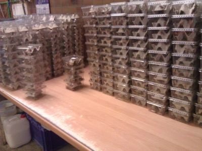 Futtertierzucht - Insektenzucht unter Duisburg, 
