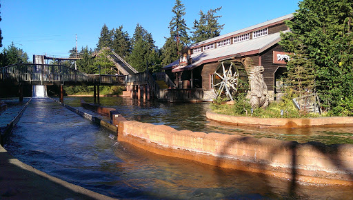 Amusement Park «Wild Waves Theme & Water Park», reviews and photos, 36201 Enchanted Pkwy S, Federal Way, WA 98003, USA