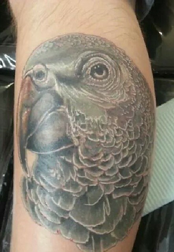 Explore lab tattoo ideas, creative tattoo ideas in Easley, available at Amber Island Tattoo