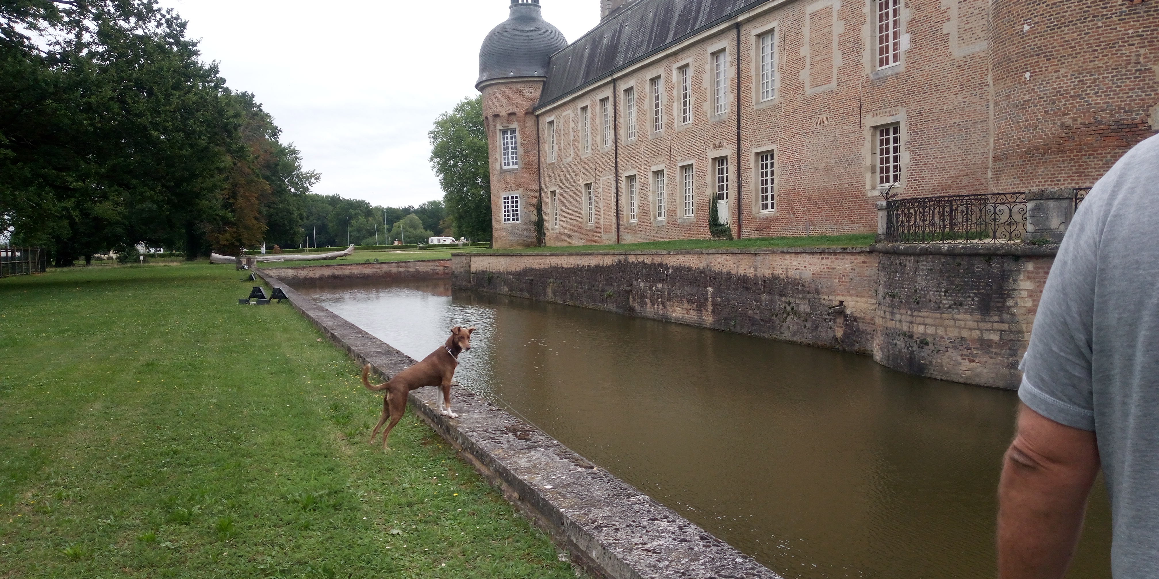 Photo n° 25 de l'avis de P. fait le 29/08/2023 à 12:10