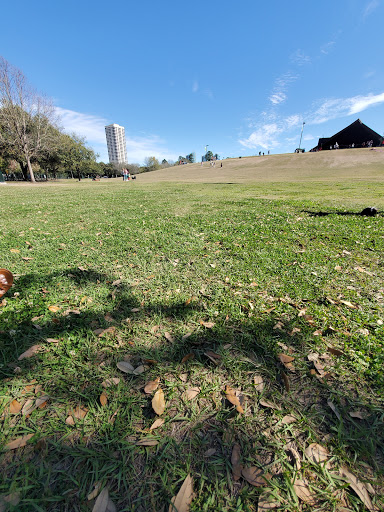 Performing Arts Theater «Miller Outdoor Theatre», reviews and photos, 6000 Hermann Park Dr, Houston, TX 77030, USA