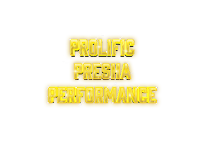 Prolific Presha Performance - Photo 1 - Car repair in , Detroit