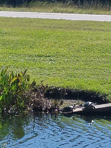 Insurance Agency «GEICO Corporate Office», reviews and photos