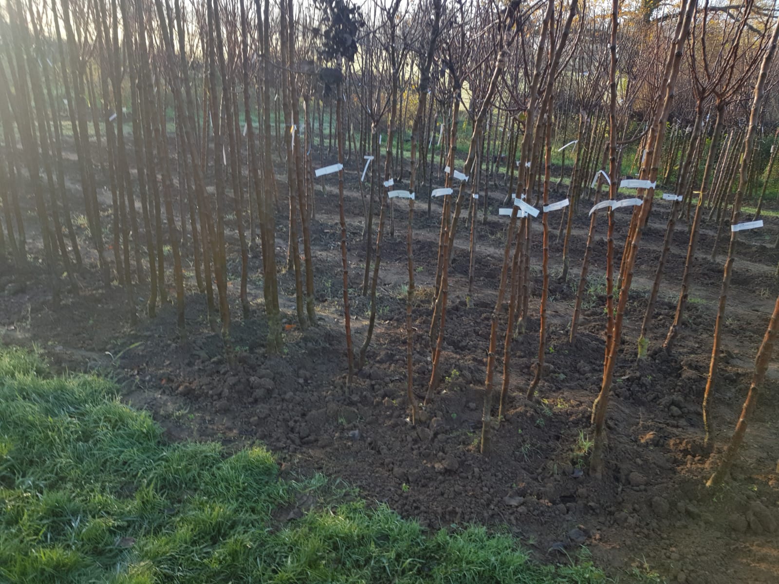 Photo n° 7 de l'avis de Nicolas.e fait le 28/11/2020 à 11:26