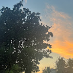 Photo n°4 de l'avis de Lynn.e fait le 19/08/2023 à 18:51 sur le  Terre Nostre ristorante pizzeria braceria à Mercato San Severino