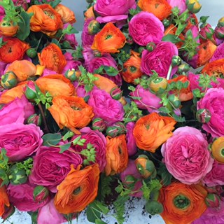 Florist «Paradise Flowers», reviews and photos, 911 Sir Francis Drake Blvd, Kentfield, CA 94904, USA