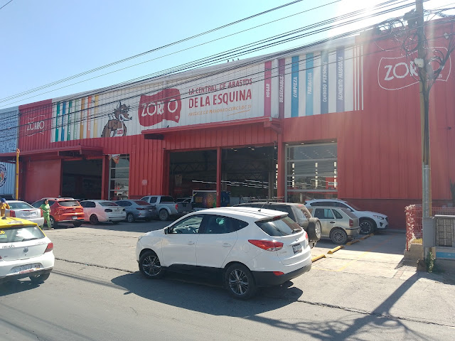 Zorro Abarrotero Pachuca