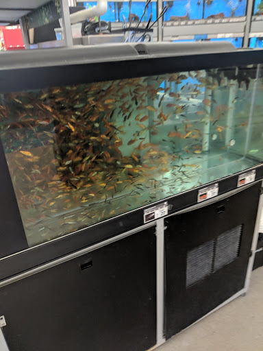 Pet Supply Store «Petco Animal Supplies», reviews and photos, 21851 Towne Center Dr, Watertown, NY 13601, USA