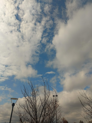 Grocery Store «Jewel-Osco», reviews and photos, 333 E Euclid Ave, Mt Prospect, IL 60056, USA