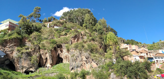 Opiniones de Sara Wasi Jardines del Inca en Cusco - Centro de jardinería