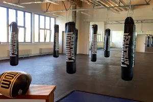 GORILLA GYM HAMBURG - Schule für Kampfsport - Kung Fu, Thaiboxen, Grappling, MMA, AY10-Yoga image
