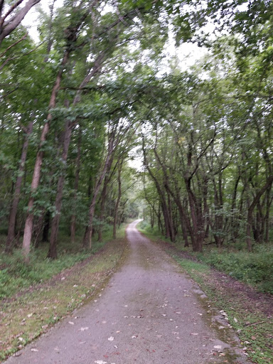 Nature Preserve «Sauk Trail Woods», reviews and photos, 3028 Forest Preserve Dr, Chicago Heights, IL 60411, USA