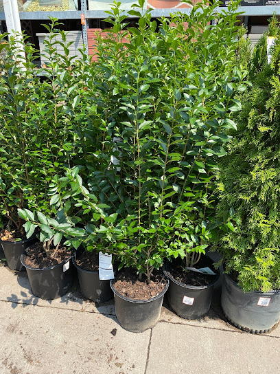 Garden Center at The Home Depot - 955 Bloomfield Ave, Clifton, NJ 07012