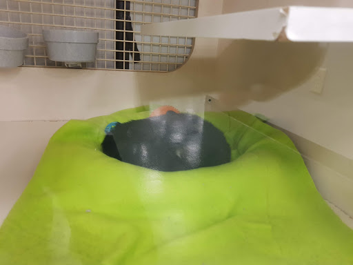 Pet Supply Store «Petco Animal Supplies», reviews and photos, 9137 Central Ave a, Montclair, CA 91763, USA