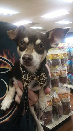 Pet Supply Store «Pet Supermarket», reviews and photos, 2924 13th St, St Cloud, FL 34769, USA