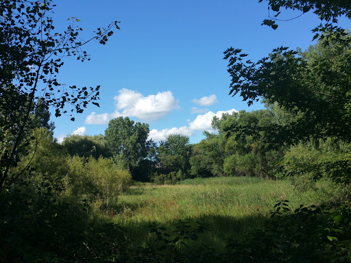 Public Golf Course «Eagle Valley Golf Course», reviews and photos, 2600 Double Eagle Ln, Woodbury, MN 55129, USA