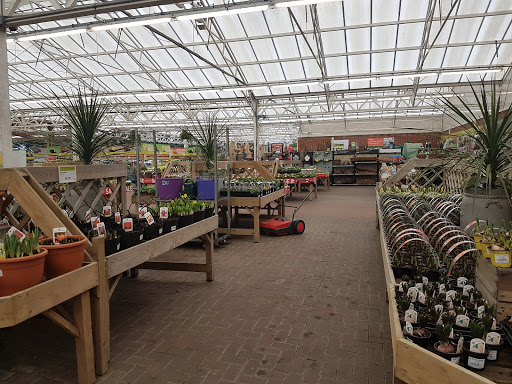 Plant shops in Southampton