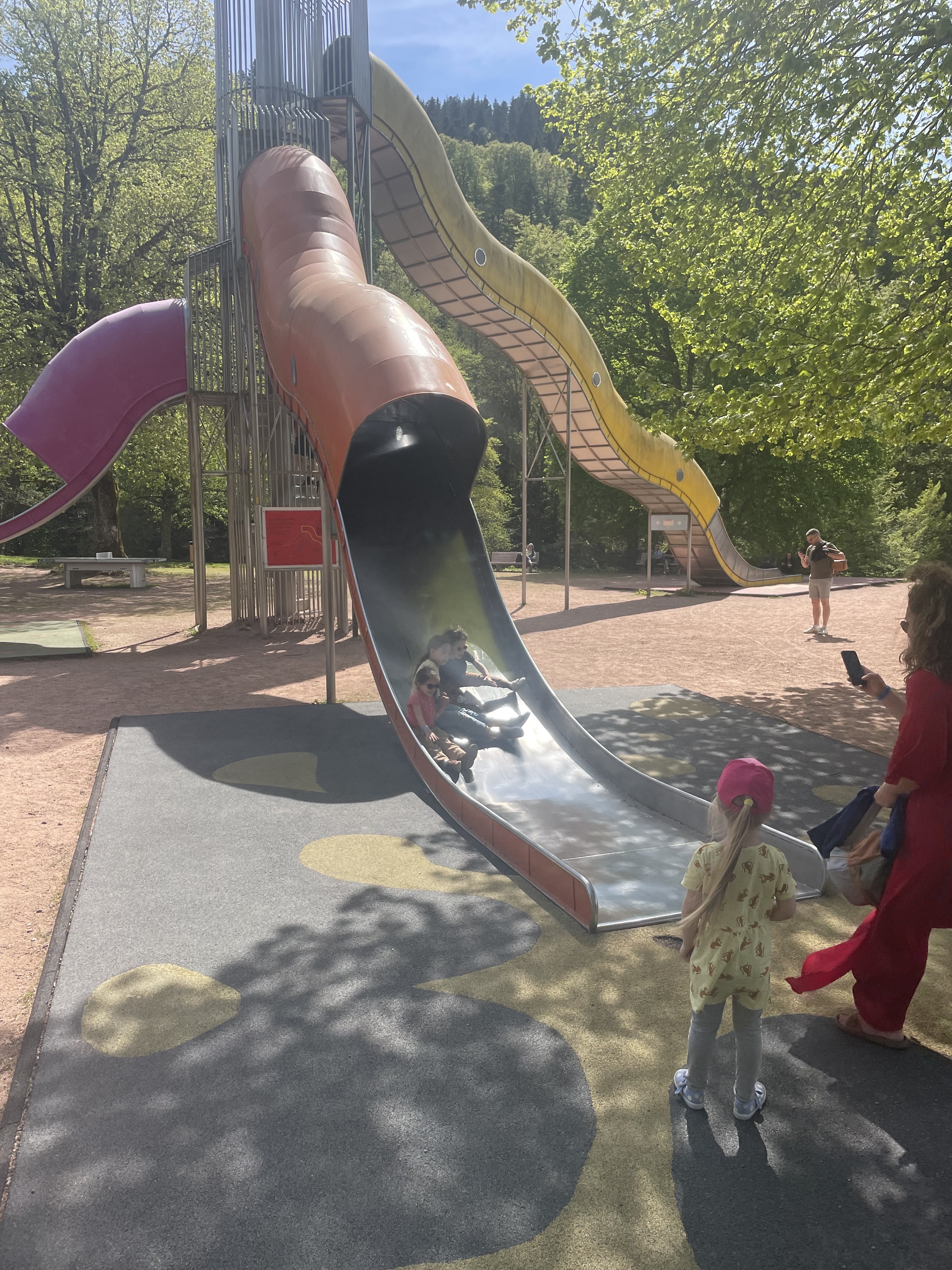 Photo n° 4 de l'avis de Flore.e fait le 09/05/2023 à 07:26