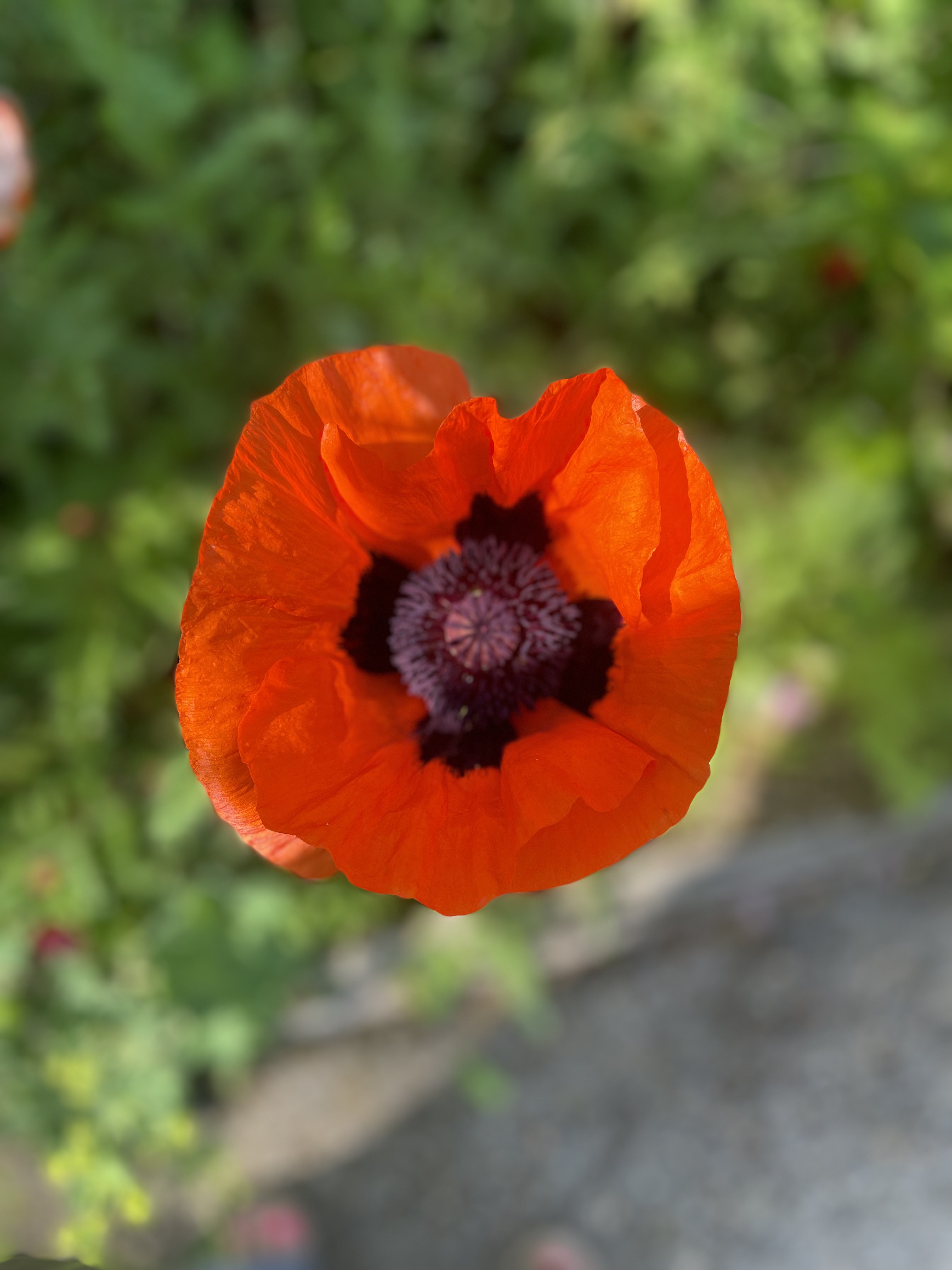 Photo n° 6 de l'avis de Celine.u fait le 08/06/2023 à 15:41