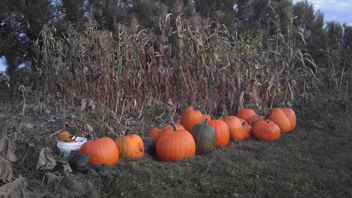 Produce Market «Natura Farms», reviews and photos, 19060 Manning Trail N, Marine on St Croix, MN 55047, USA