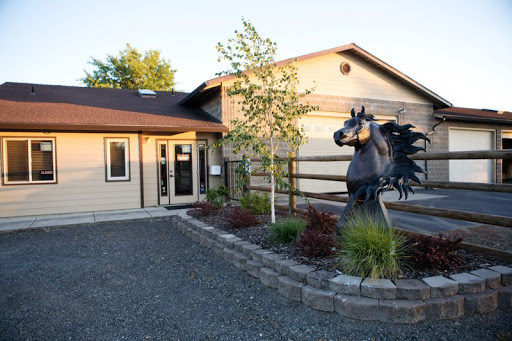 Thomas R. Timmons, DVM image